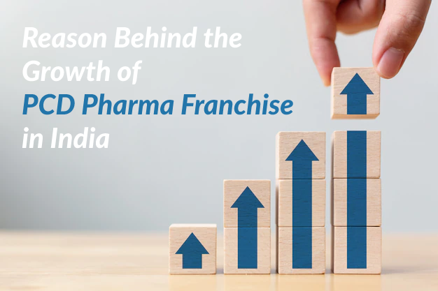 What are the Success Parameters for Pharma Franchise Business